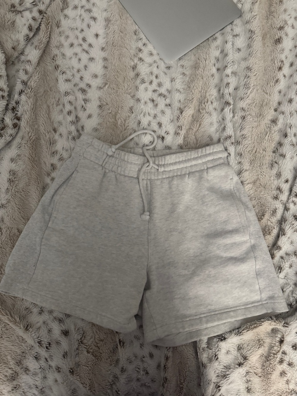 Aritzia Women’s Light Gray Lounge Shorts